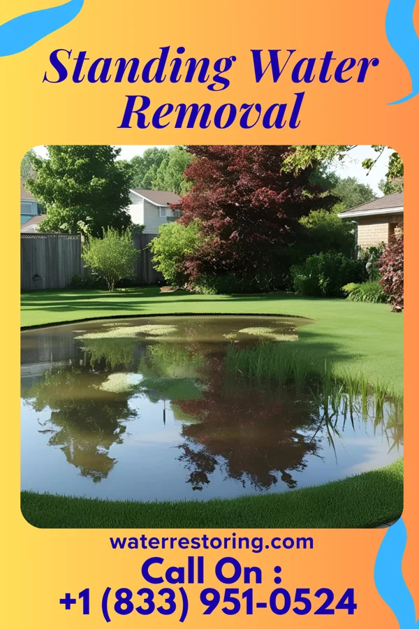 Standing Water Removal in Wood Lake, NE